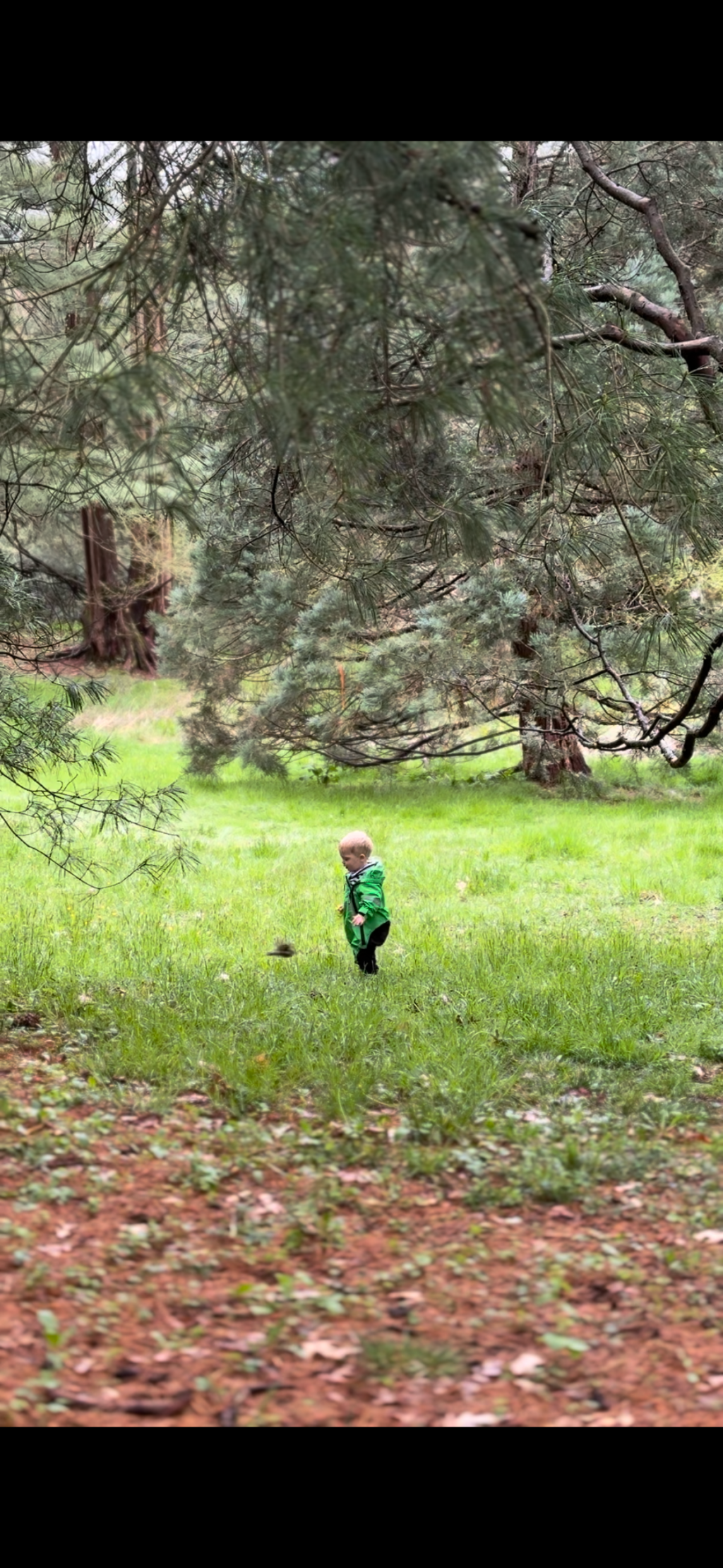 a walk in the woods…in the&nbsp;city